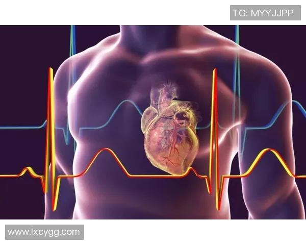 科学排球意识训练方法探索与实践提升运动员竞技水平的有效途径